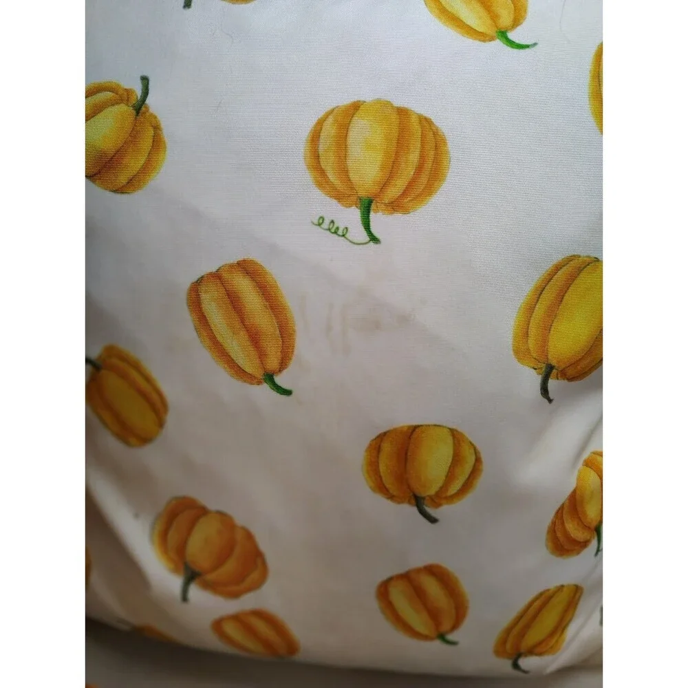 Rae Dunn Autumn Pumpkin Accent Pillows Feather Down Insert Removable Covers